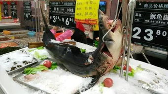 超實(shí)用的海鮮水產(chǎn)品陳列全攻略，讓魚蝦蟹成為超市吸金石